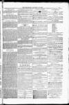 Blandford and Wimborne Telegram Friday 13 January 1882 Page 13