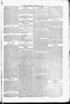 Blandford and Wimborne Telegram Friday 27 January 1882 Page 5
