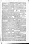 Blandford and Wimborne Telegram Friday 27 January 1882 Page 13