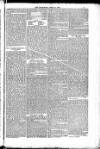 Blandford and Wimborne Telegram Friday 21 April 1882 Page 5