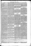 Blandford and Wimborne Telegram Friday 21 April 1882 Page 13