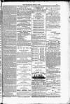 Blandford and Wimborne Telegram Friday 21 April 1882 Page 15