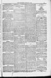 Blandford and Wimborne Telegram Friday 05 January 1883 Page 13