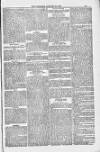 Blandford and Wimborne Telegram Friday 19 January 1883 Page 13