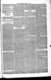 Blandford and Wimborne Telegram Friday 02 March 1883 Page 7