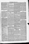 Blandford and Wimborne Telegram Friday 23 March 1883 Page 7