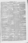 Blandford and Wimborne Telegram Friday 06 April 1883 Page 5