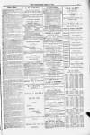 Blandford and Wimborne Telegram Friday 06 April 1883 Page 11