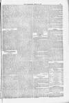 Blandford and Wimborne Telegram Friday 06 April 1883 Page 13