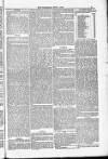 Blandford and Wimborne Telegram Friday 01 June 1883 Page 5