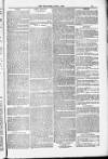 Blandford and Wimborne Telegram Friday 01 June 1883 Page 11