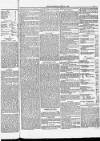 Blandford and Wimborne Telegram Friday 08 June 1883 Page 5
