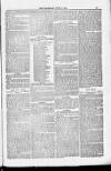 Blandford and Wimborne Telegram Friday 08 June 1883 Page 13