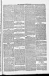 Blandford and Wimborne Telegram Friday 31 August 1883 Page 7