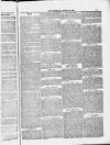 Blandford and Wimborne Telegram Friday 31 August 1883 Page 11