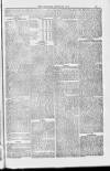 Blandford and Wimborne Telegram Friday 31 August 1883 Page 13