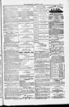 Blandford and Wimborne Telegram Friday 31 August 1883 Page 15