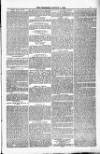 Blandford and Wimborne Telegram Friday 04 January 1884 Page 7