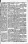 Blandford and Wimborne Telegram Friday 04 January 1884 Page 13