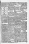 Blandford and Wimborne Telegram Friday 25 January 1884 Page 5