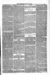 Blandford and Wimborne Telegram Friday 25 January 1884 Page 7