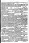 Blandford and Wimborne Telegram Friday 25 January 1884 Page 9