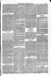 Blandford and Wimborne Telegram Friday 25 January 1884 Page 13