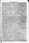 Blandford and Wimborne Telegram Friday 01 February 1884 Page 7
