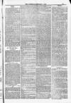 Blandford and Wimborne Telegram Friday 01 February 1884 Page 11