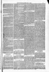 Blandford and Wimborne Telegram Friday 01 February 1884 Page 13
