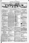 Blandford and Wimborne Telegram Friday 22 February 1884 Page 1
