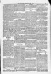 Blandford and Wimborne Telegram Friday 22 February 1884 Page 13