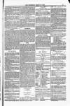 Blandford and Wimborne Telegram Friday 14 March 1884 Page 9