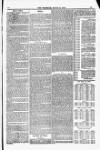 Blandford and Wimborne Telegram Friday 14 March 1884 Page 11