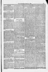 Blandford and Wimborne Telegram Friday 14 March 1884 Page 13
