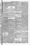 Blandford and Wimborne Telegram Friday 21 March 1884 Page 5