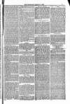 Blandford and Wimborne Telegram Friday 21 March 1884 Page 7