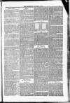 Blandford and Wimborne Telegram Friday 21 March 1884 Page 11