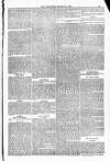 Blandford and Wimborne Telegram Friday 21 March 1884 Page 13