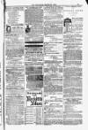 Blandford and Wimborne Telegram Friday 21 March 1884 Page 15