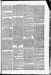 Blandford and Wimborne Telegram Friday 28 March 1884 Page 7