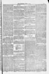 Blandford and Wimborne Telegram Friday 04 April 1884 Page 5