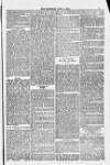 Blandford and Wimborne Telegram Friday 04 April 1884 Page 7