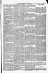 Blandford and Wimborne Telegram Friday 04 April 1884 Page 13