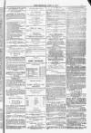 Blandford and Wimborne Telegram Friday 11 April 1884 Page 3