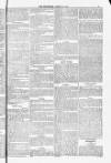 Blandford and Wimborne Telegram Friday 11 April 1884 Page 5