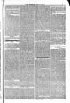 Blandford and Wimborne Telegram Friday 11 April 1884 Page 7