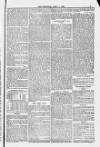 Blandford and Wimborne Telegram Friday 11 April 1884 Page 9