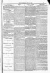 Blandford and Wimborne Telegram Friday 11 April 1884 Page 11