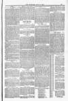 Blandford and Wimborne Telegram Friday 11 April 1884 Page 13